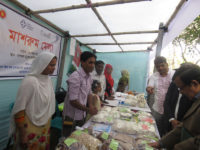 displaying various products of mashroom in mashroom mela