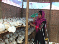 women spraying water on mashroom